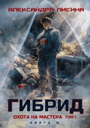 Скачать Гибрид. Книга 14. Охота на мастера. Том 1 бесплатно