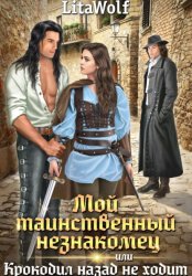 Скачать Мой таинственный незнакомец, или Крокодил назад не ходит бесплатно