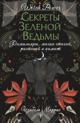 Скачать Секреты зеленой ведьмы. Фамильяры, магия стихий, растений и камней бесплатно