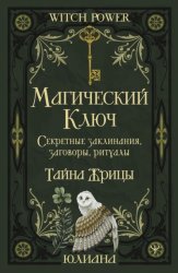 Скачать Магический ключ. Секретные заклинания, заговоры, ритуалы. Тайна жрицы бесплатно