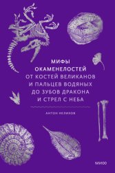 Скачать Мифы окаменелостей. От костей великанов и пальцев водяных до зубов дракона и стрел с неба бесплатно