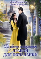 Скачать Возврату не подлежит, или Дракон для попаданки бесплатно