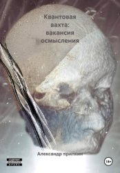 Скачать Квантовая вахта: вакансия осмысления бесплатно