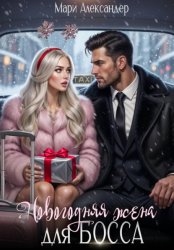 Скачать Новогодняя жена для босса бесплатно