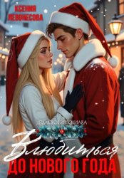 Скачать Влюбиться до Нового года бесплатно