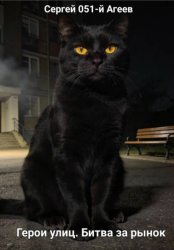 Скачать Герои улиц. Битва за рынок бесплатно