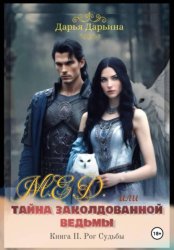 Скачать МЁД, или Тайна заколдованной ведьмы бесплатно