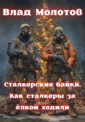 Скачать Сталкерские байки. Как сталкеры за ëлкой ходили бесплатно
