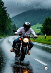 Скачать Семейные тайны. Книга 13. «Мышка» из Мышкина бесплатно