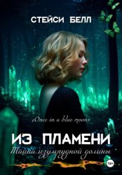 Скачать Из пламени. Тайна изумрудной долины бесплатно