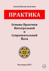 Скачать Основы Практики Интегральной и Супраментальной Йоги бесплатно