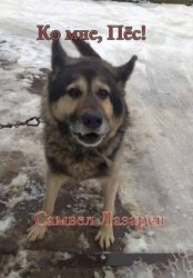 Скачать Ко мне, Пёс! бесплатно