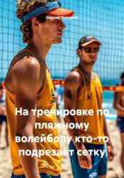 Скачать На тренировке по пляжному волейболу кто-то подрезает сетку бесплатно
