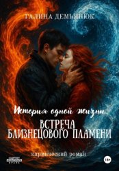 Скачать История одной жизни: встреча близнецового пламени бесплатно