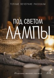 Скачать Под светом лампы: моменты тихого счастья. Теплые вечерние рассказы бесплатно