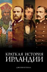 Скачать Краткая история Ирландии бесплатно