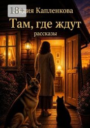 Скачать Там, где ждут. Рассказы бесплатно
