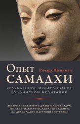 Скачать Опыт самадхи. Углублённое исследование буддийской медитации бесплатно