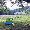 Арья Шритт