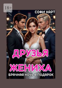 Друзья жениха. Брачная ночь в подарок