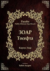 Скачать Тосефта бесплатно