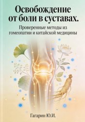 Скачать Освобождение от боли в суставах. Проверенные методы из гомеопатии и китайской медицины бесплатно