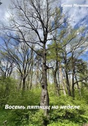 Скачать Восемь пятниц на неделе бесплатно