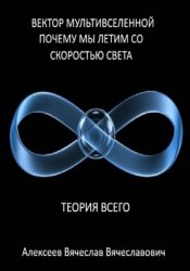 Скачать Вектор мультивселенной: почему мы летим со скоростью света бесплатно