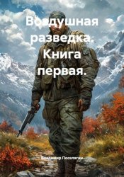 Скачать Воздушная разведка. Книга первая. бесплатно