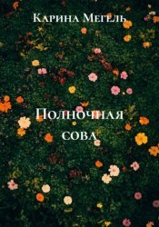 Скачать Полночная сова бесплатно