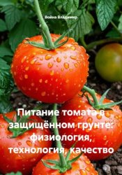 Скачать Питание томата в защищённом грунте: физиология, технология, качество бесплатно