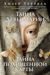 Скачать Тайна Девы Марии. Тайна похищенной карты бесплатно