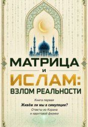 Скачать Матрица и Ислам:  взлом реальности. Живём ли мы в симуляции? Книга первая Ответы из Корана и квантовой физики бесплатно