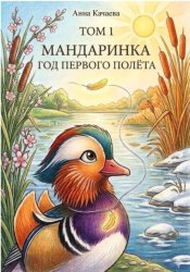 Скачать Мандаринка. Год первого полёта. Том 1 бесплатно