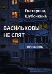 Скачать Васильковы не спят бесплатно