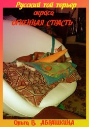 Скачать Русский той терьер окраса «огненная страсть» бесплатно