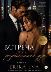 Скачать Встреча двух родственных душ. Книга 1 бесплатно