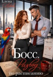 Скачать Босс. Развод по расписанию бесплатно