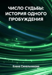 Скачать ЧИСЛО СУДЬБЫ: ИСТОРИЯ ОДНОГО ПРОБУЖДЕНИЯ бесплатно