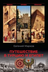 Скачать Путешествие в Турцию и Египет. Жизнь, нравы, обычаи бесплатно