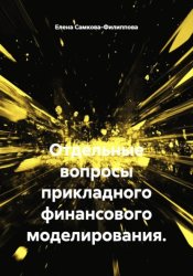 Скачать Отдельные вопросы прикладного финансового моделирования. бесплатно
