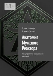 Скачать Анатомия мужского реактора. Как управлять сексуальной энергией бесплатно
