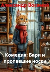 Скачать Комедия: Бари и пропавшие носки бесплатно