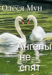 Скачать Ангелы не спят бесплатно
