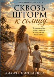 Скачать Сквозь шторм к солнцу бесплатно