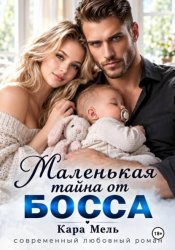Скачать Маленькая тайна от Босса бесплатно