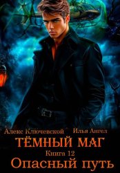 Скачать Тёмный маг. Книга 12. Опасный путь бесплатно