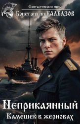 Скачать Неприкаянный. Камешек в жерновах бесплатно