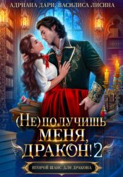 Скачать (Не) получишь меня, дракон! Книга 2 бесплатно