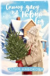 Скачать Сниму дачу на Новый год бесплатно